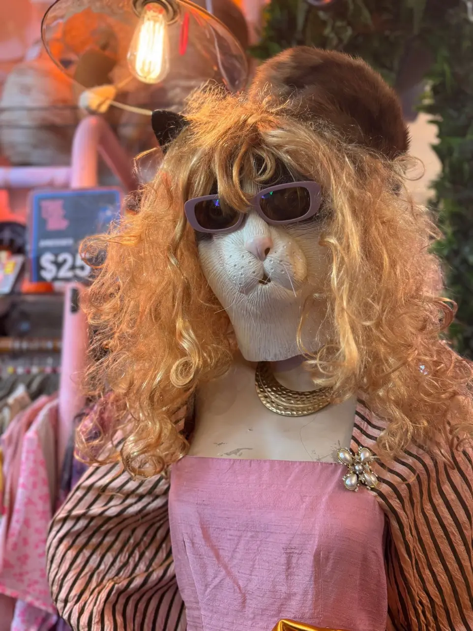 Vintage clothing store Paddington Cat