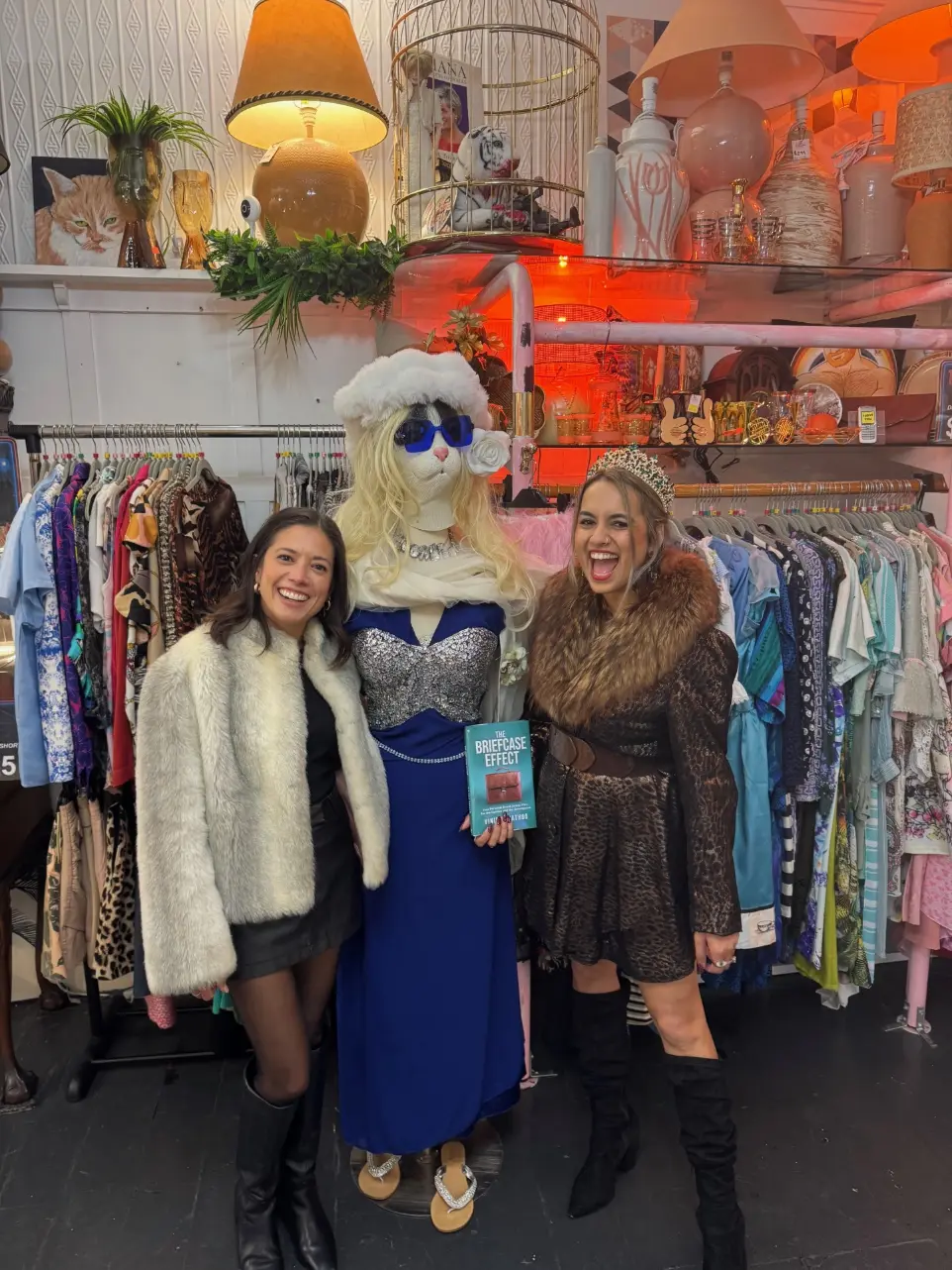 That Cat Shop Paddington Events